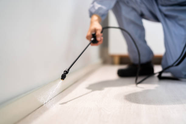 Licensed Pest Control service in Marinette, WI - Show Me Pest Control
