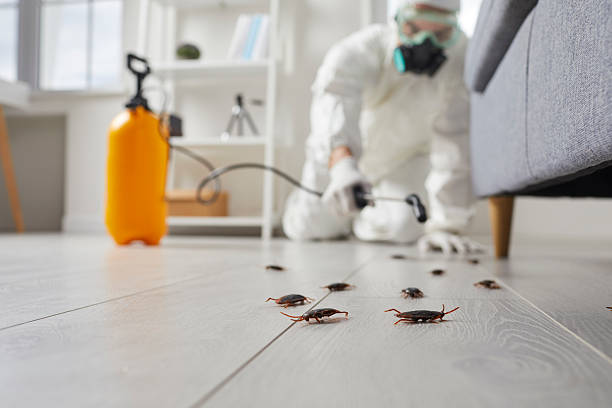 Commercial Kitchen Cockroach Control in Marinette